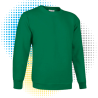 Sweatshirt DUBLIN